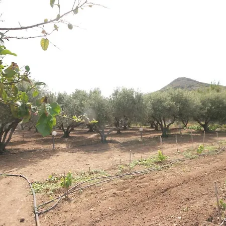Paros Nature House Holiday home Marmara