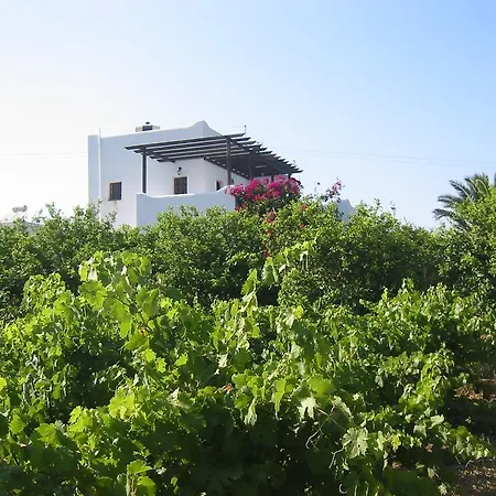 Paros Nature House Marmara