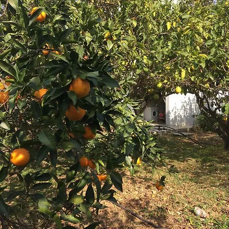 Paros Nature House * Marmara