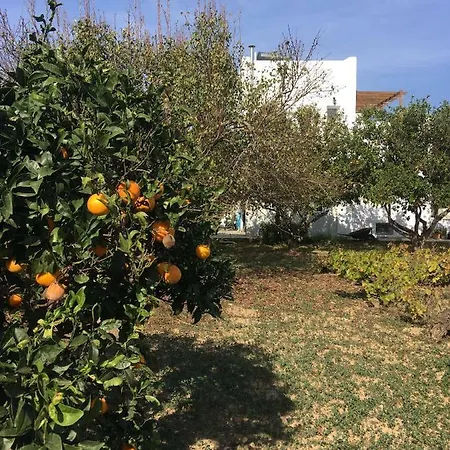 Paros Nature House Holiday home *